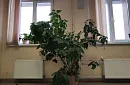Общежитие Бирюлево - фото 6