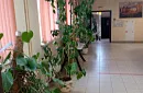 Общежитие Бирюлево - фото 4